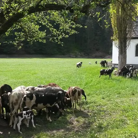 Haus Fiegl 3*
